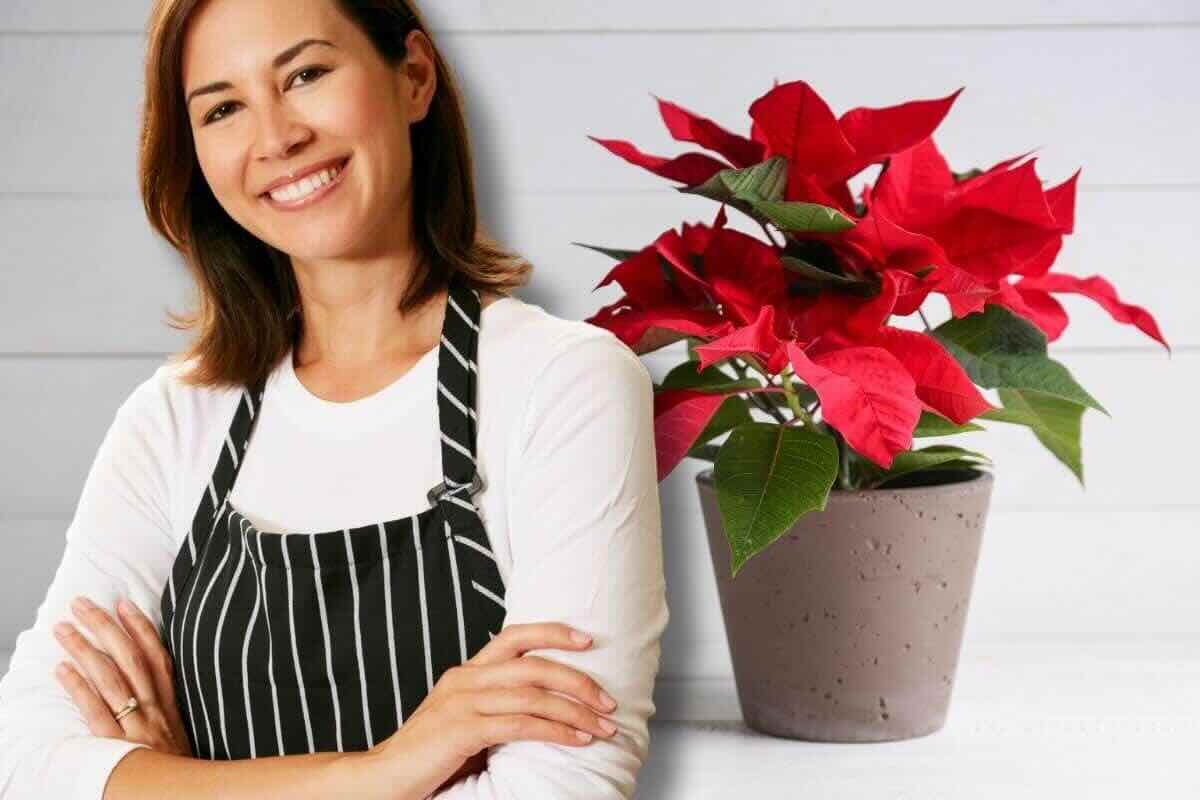 donna stella di natale